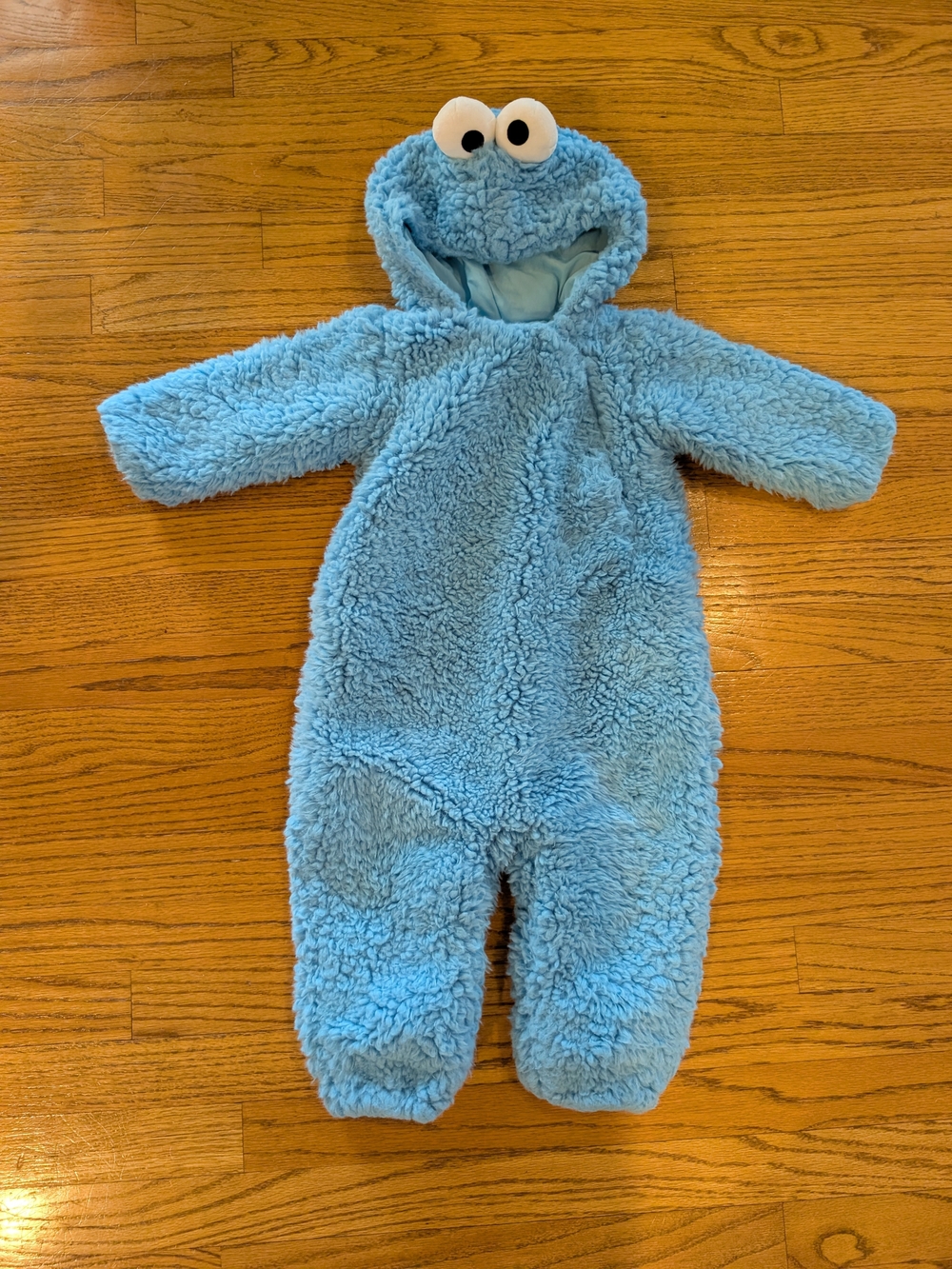 Pottery Barn Kids Plush Light Blue Cookie Monster Costume 12-24 Months